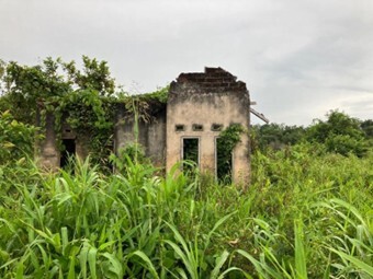 Picture mangkrak, an ruined house on top of drained swampland in West Papua